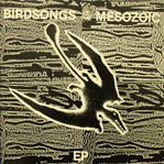 Birdsongs Of The Mesozoic cover