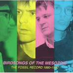 The Fossil Record cover